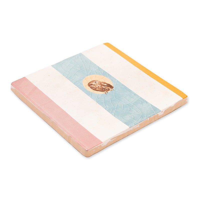 Geslaagd cadeau tegeltje vogel op pastelkleurige achtergrond gepresenteerd