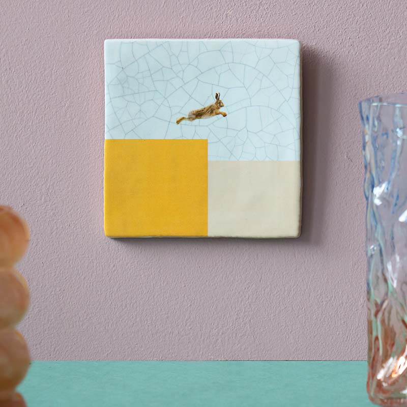 Geslaagd cadeau tegeltje met springende haas, aan roze muur