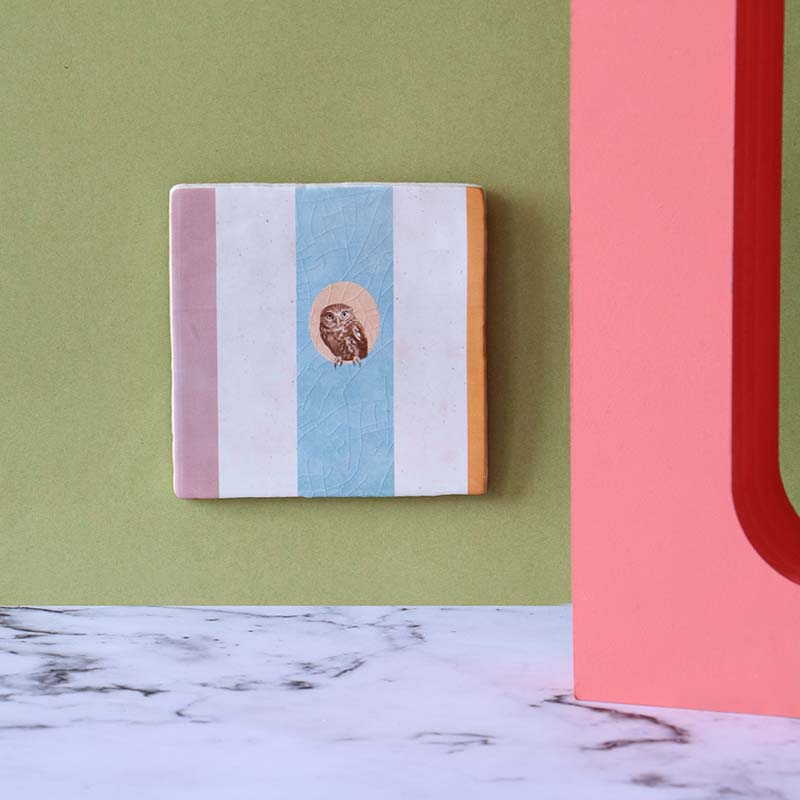 Geslaagd cadeau tegeltje uil pastelkleuren groene achtergrond met marmer