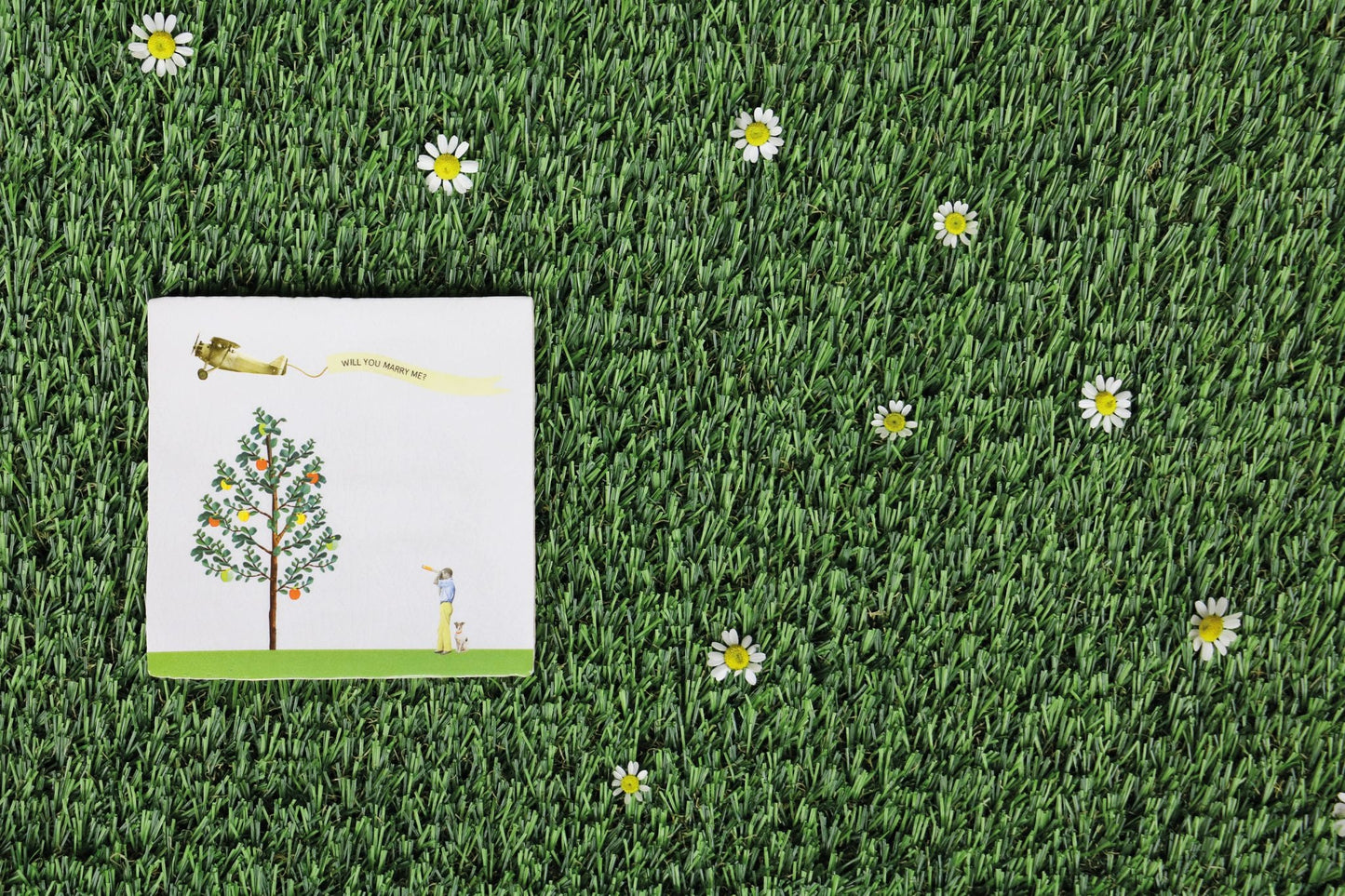 Huwelijkscadeau tegeltje met vliegtuig op gras met madeliefjes