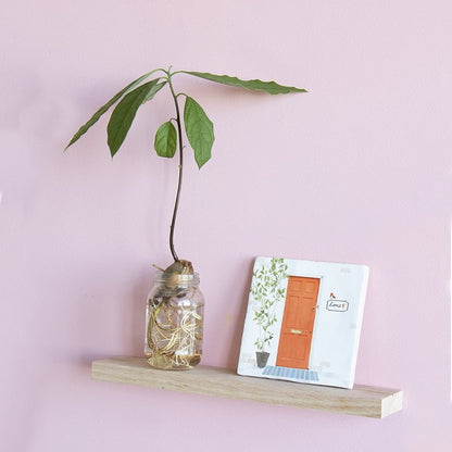 Wandplankje met plant en tegeltje op lichtroze muur