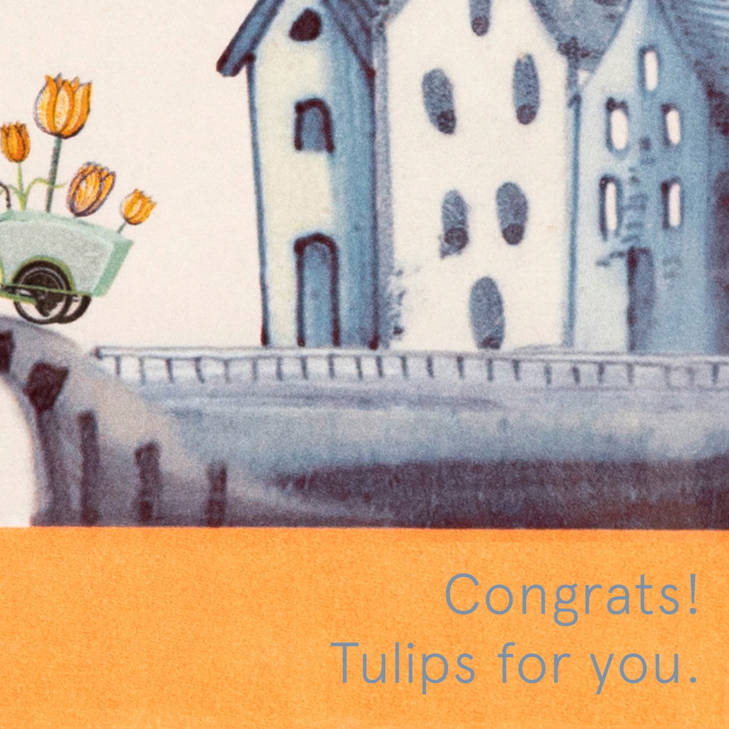 Tulips on their way to you