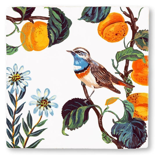 Tegeltje zangvogeltje kleurrijk tussen sinaasappels en bloemen geplaatst