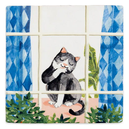 tegeltje kat wast zich voor het raam met gordijnen