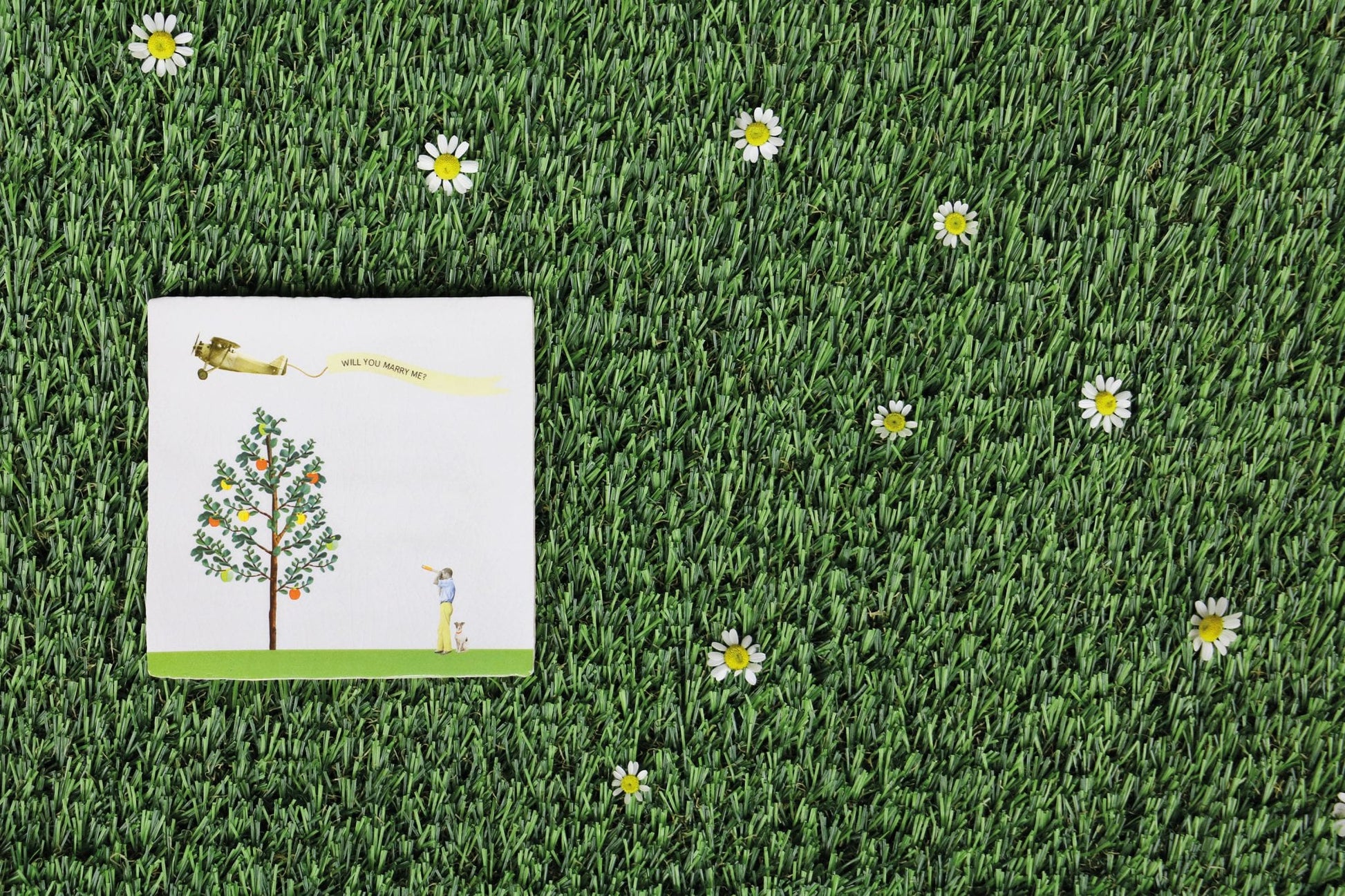 Huwelijkscadeau tegeltje met vliegtuig met je eigen boodschap erachter. Op gras met madeliefjes